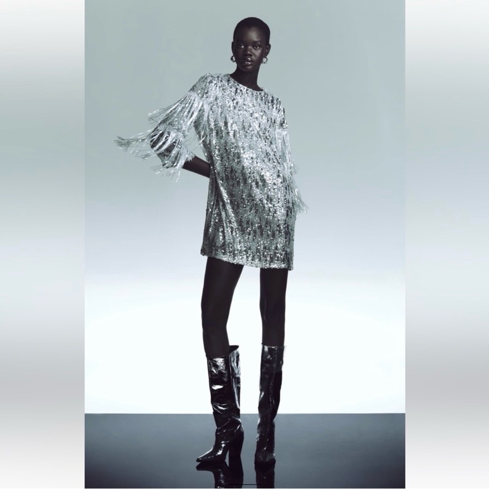 Zara Silver Sequin Fringe Dress